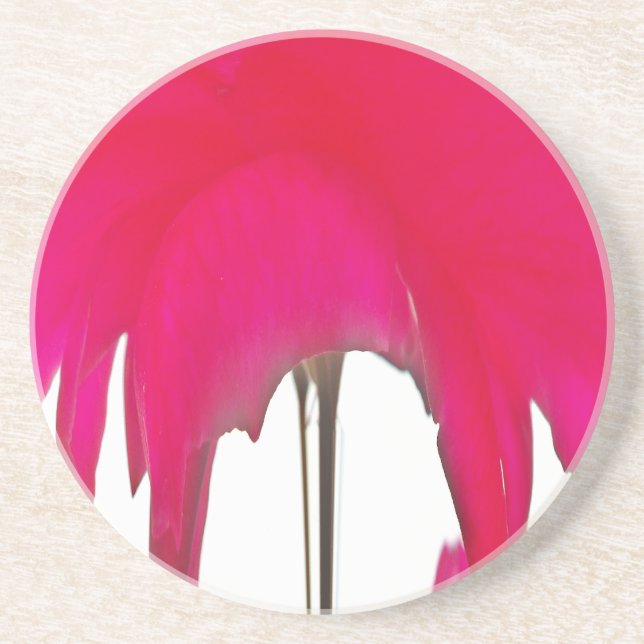 Schöne phantastische Rote Rose unter weißem Himmel Untersetzer (Vorne)