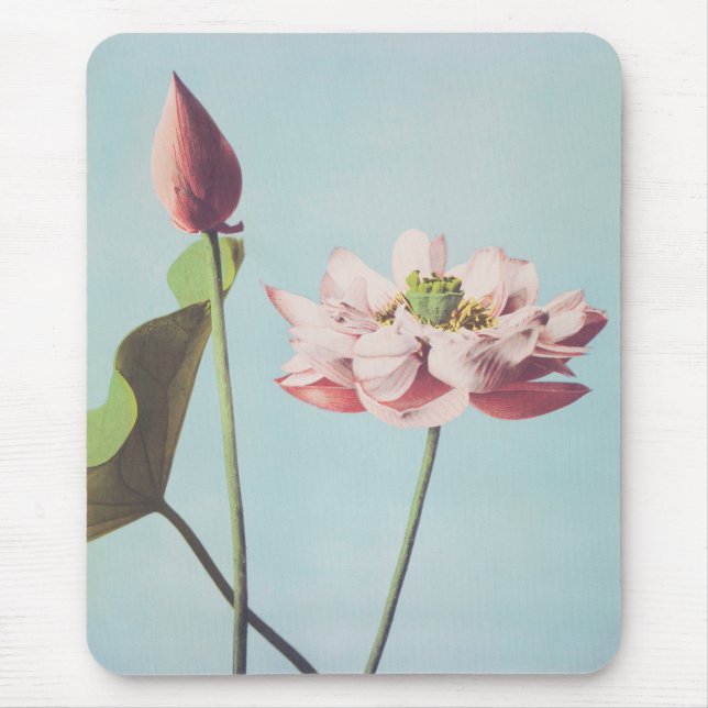 Schöne photomechanische Drucke von Lotus-Blume Mousepad (Vorne)