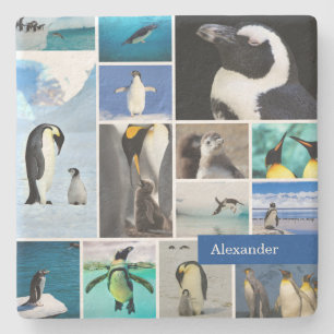 Schöne Pinguin FotoCollage mit Vorname Steinuntersetzer
