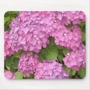 Schöne Pink Hydrangeas Mousepad
