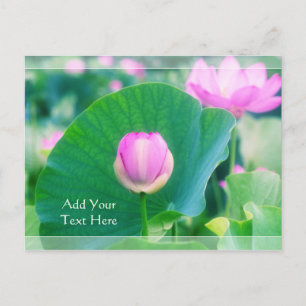 Schöne Pink Lotus Bud Blume Grünes Leaf Blossom Postkarte