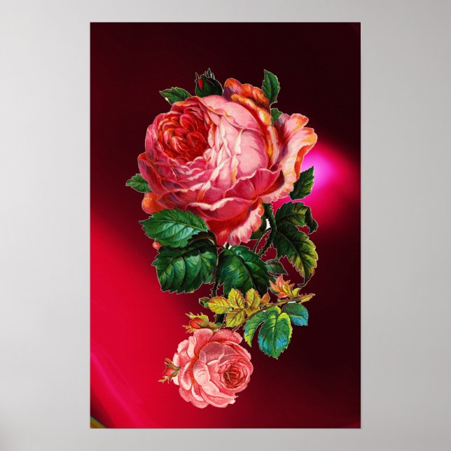 SCHÖNE PINK ROSES POSTER (Vorne)