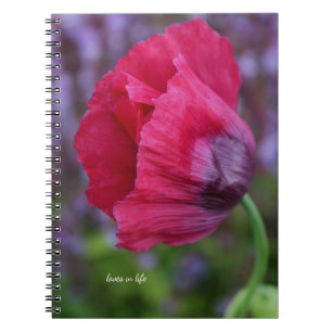 Schöne PInk und Lila Poppy-Blume Notizblock