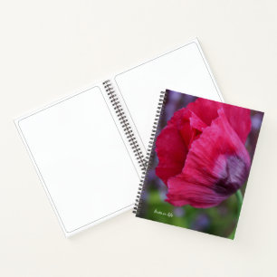 Schöne PInk und Lila Poppy-Blume Notizbuch