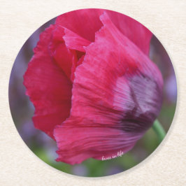 Schöne PInk und Lila Poppy-Blume Runder Pappuntersetzer