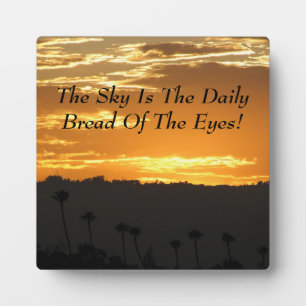 Schöne Plaque! Fotoplatte