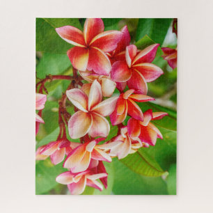 Schöne Plumeria-Blume Puzzle