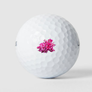 Schöne Plumeria (frangipani) rosa Blume Golfball