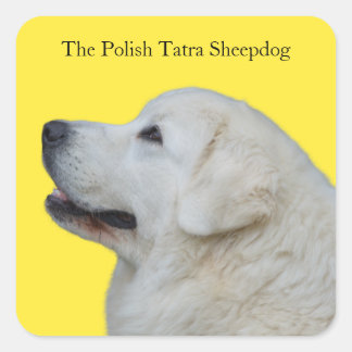 Schöne Polnische Tatra Sheepdog Aufkleber