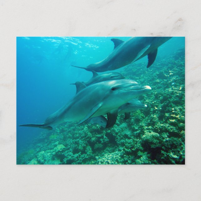 Schöne Postkarte (Vorderseite)