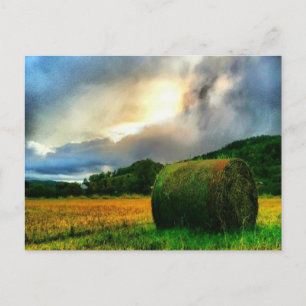 Schöne Postkarte eines Heufelds