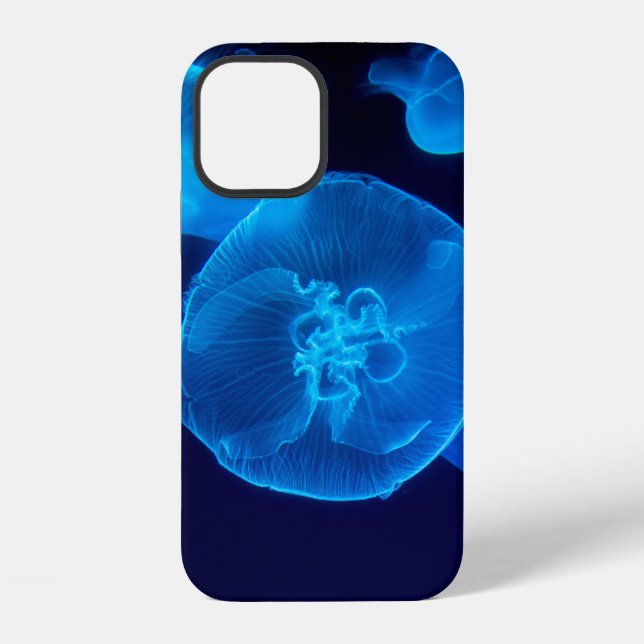 SCHÖNE QUALLE iPhone HÜLLE (Rückseite)