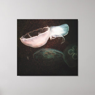 Schöne Qualle Leinwanddruck