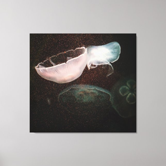 Schöne Qualle Leinwanddruck (Vorderseite)