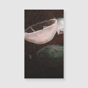 Schöne Qualle Magnetkarte