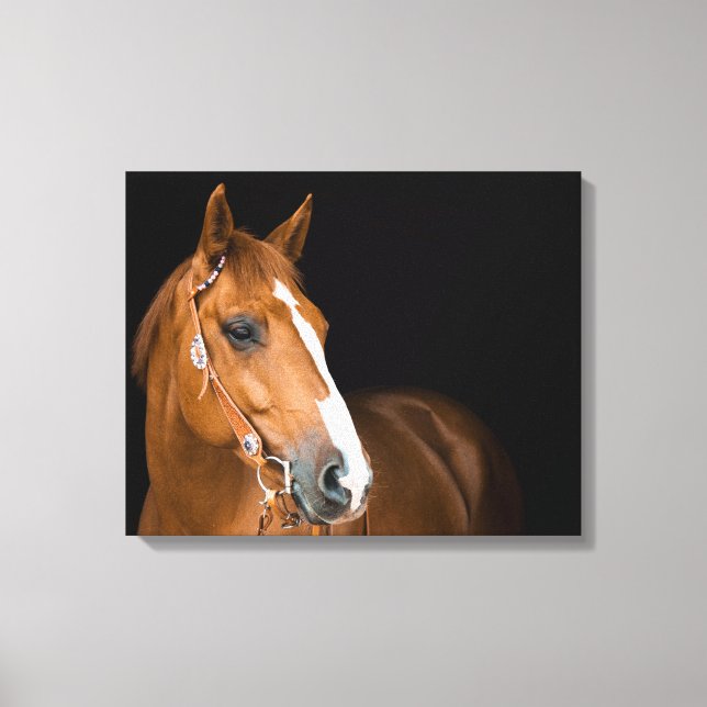 Schöne Quarter Foto Leinwand (Vorderseite)