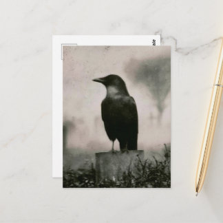 Schöne Raben Vintage-Fotografie Postkarte