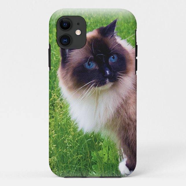 Schöne Ragdoll Katze Case-Mate iPhone Hülle (Rückseite)
