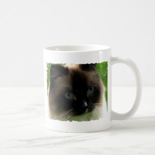 Schöne Ragdoll Katzen-Tasse Kaffeetasse