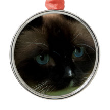 Schöne Ragdoll Katzen-Verzierung