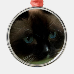 Schöne Ragdoll Katzen-Verzierung Silbernes Ornament