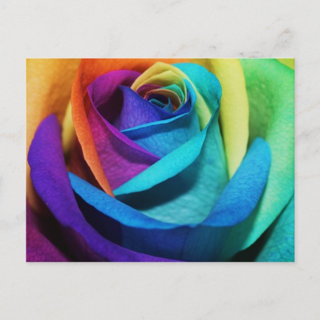 Schöne Rainbow Rose Postkarte (Vorderseite)