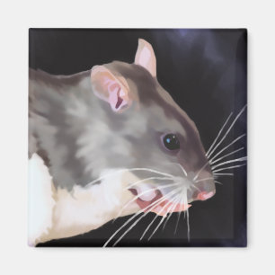 Schöne Ratten-Malerei Magnet