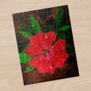 Schöne Red Dianthus Blume mit Raindrops Foto Puzzle