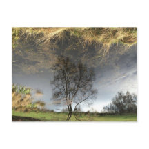 Schöne Reflektionsfotografie Tree Postkarte