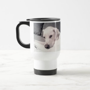 Schöne Regal White Labrador Mix Dog Gray Travel Reisebecher