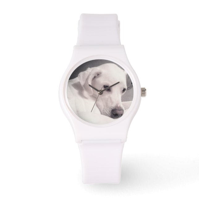 Schöne Regal White Labrador Mix Dog Watch Armbanduhr (Vorderseite)