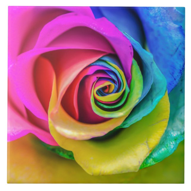 Schöne Regenbogen-Rosen-Keramik-Fliese Fliese (Vorderseite)