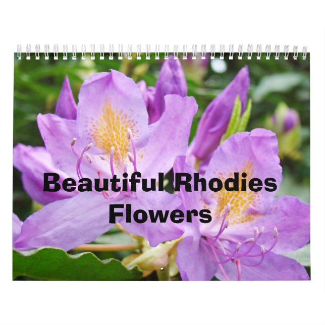 Schöne Rhodies Blume Kalender Natur farbenfroh (Titelbild)