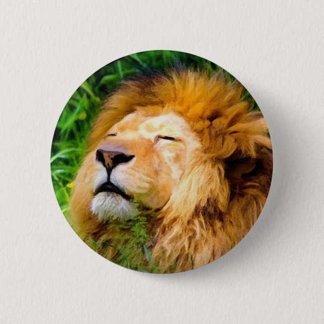 Schöne Riesen-Männchen Lion afrikanische Wildtiere Button (Vorderseite)