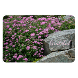 Schöne Rock Garden Dankbarkeit Magnet