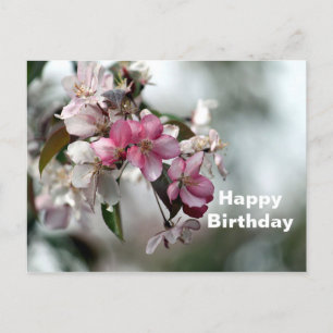 Schöne rosa Apfel-Blumen-Foto-Geburtstag Postkarte