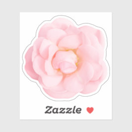 Schöne Rosa-Aufkleber Aufkleber