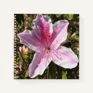 Schöne rosa Azalea Notizbuch