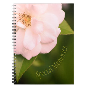 Schöne, rosa blühende Rose Notizblock