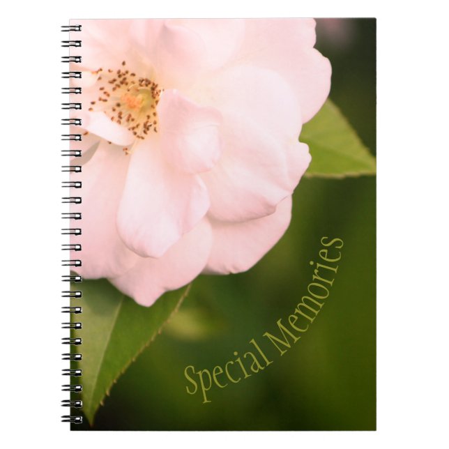 Schöne, rosa blühende Rose Notizblock (Vorderseite)