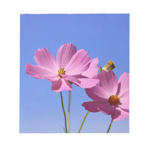 schöne rosa Blume, die einen klaren, blauen Himmel Notizblock
