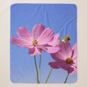 schöne rosa Blume, die einen klaren, blauen Himmel Sherpadecke