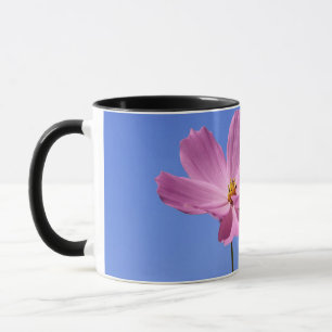 schöne rosa Blume, die einen klaren, blauen Himmel Tasse
