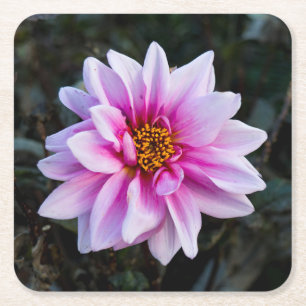 Schöne rosa Blume im Garten Rechteckiger Pappuntersetzer