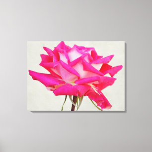 Schöne Rosa Blume Künstlerisch Canvas Print Leinwanddruck