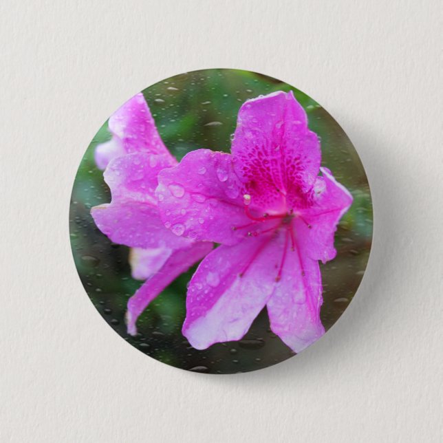 Schöne, rosa Blume mit Regentropfen. Blumen Button (Vorderseite)