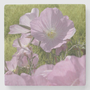 Schöne rosa Blumen Foto Marmor Stein Untersetzer