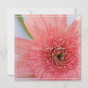 Schöne rosa Chrysanthemum Ihre Text-Flat-Karte