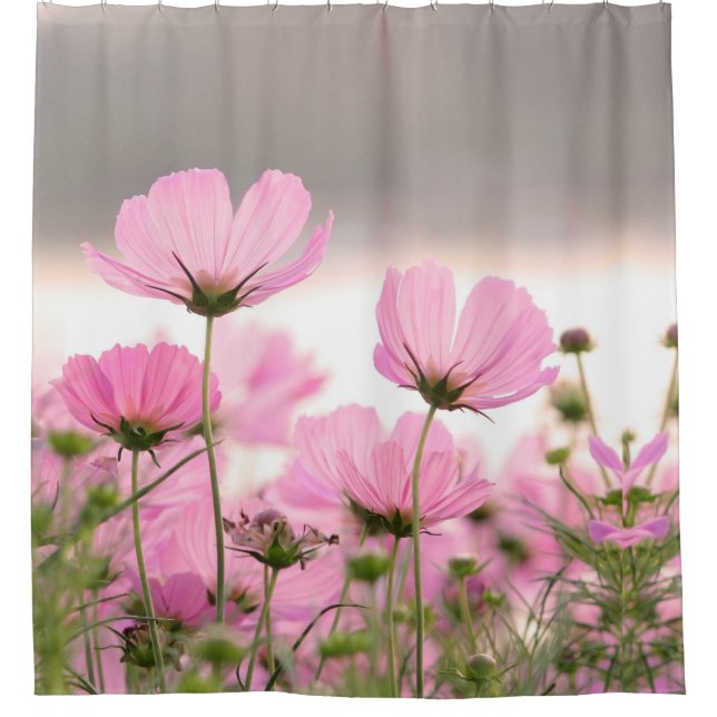 Schöne Rosa Cosmos Garden Blume Blumen Duschvorhang (Vorderseite)