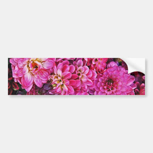 Schöne rosa Dahlien Autoaufkleber